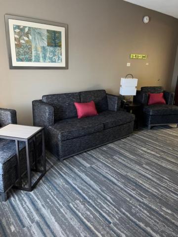 טולדו Comfort Inn & Suites מראה חיצוני תמונה